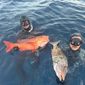 Two people in scuba gear holding large red fish in the water.